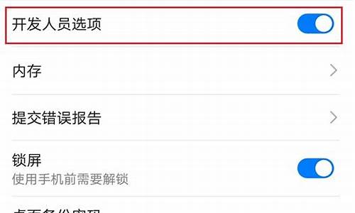 华为手机开发者选项在哪里打开的功能_华为手机开发者选项在哪里打开的功能怎么关闭