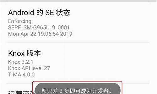 三星手机打开开发者选项_三星手机打开开发者选项好不好